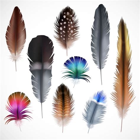 realistic feathers